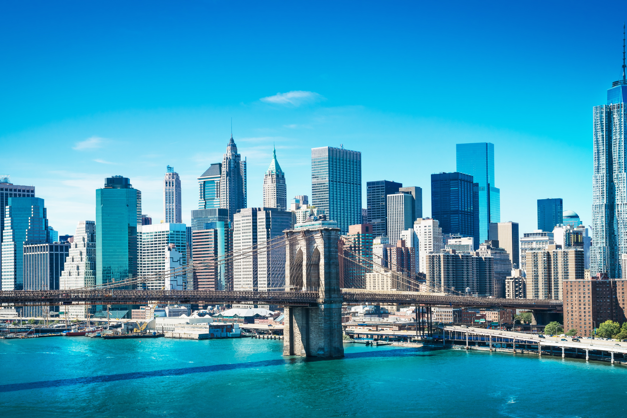 purchase, new york.webp